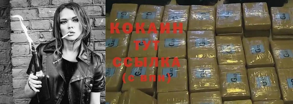 спайс Нея