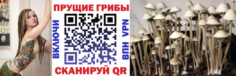 Псилоцибиновые грибы MAGIC MUSHROOMS  наркотики  Агрыз 