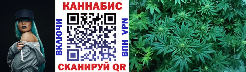 Конопля OG Kush  сколько стоит  Агрыз 